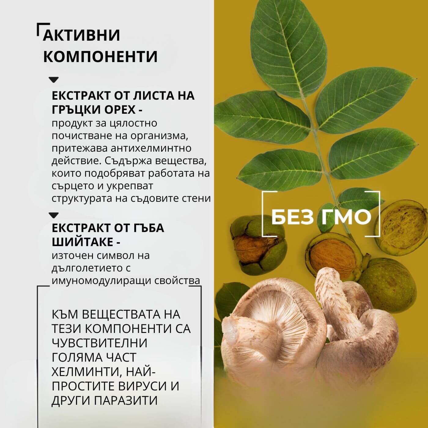 tiande (1081 x 1081 пиксела) (27)